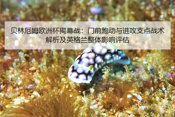 贝林厄姆欧洲杯揭幕战：门前跑动与进攻支点战术解析及英格兰整体影响评估